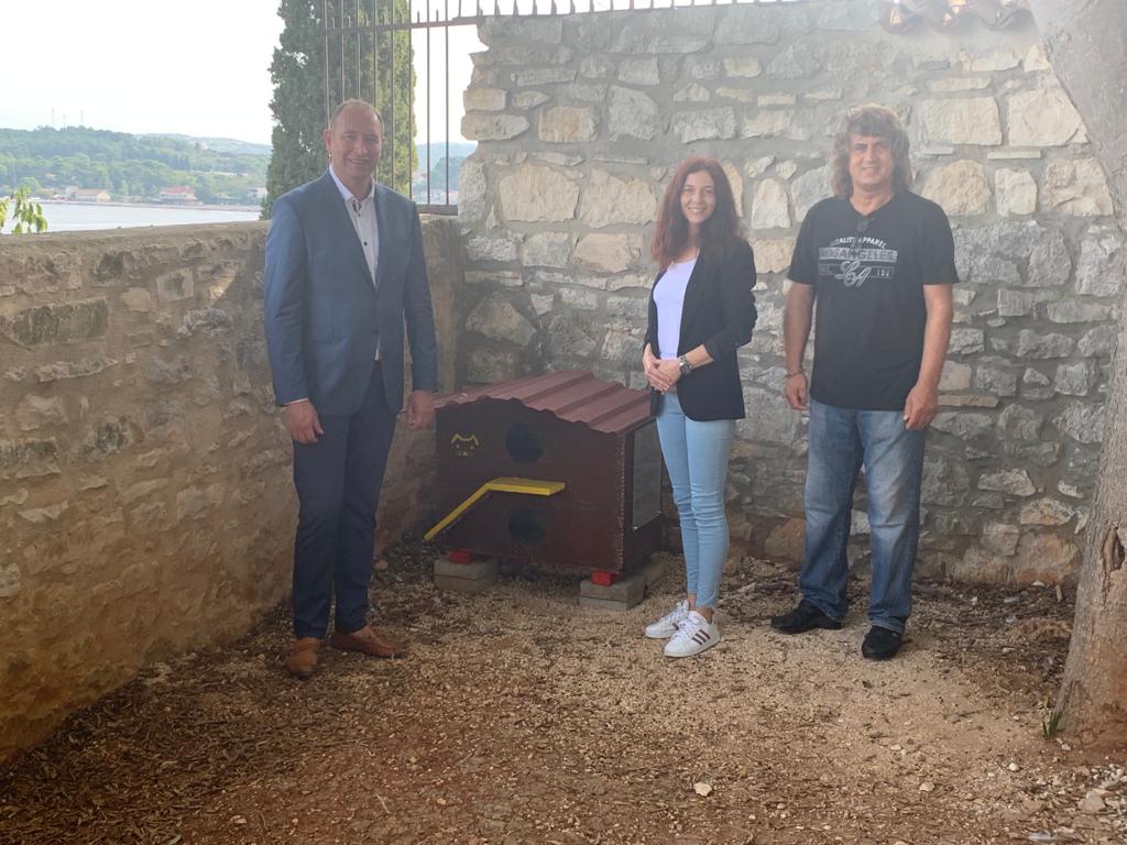 Rovinjske slobodnoživuće mačke dobile svoj prvi službeni krov nad glavom s videonadzorom